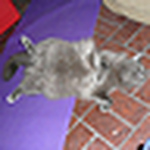 Jeni Lee - Flickr Profile Picture of Jeni Lee (@jeni lee) on Flickr