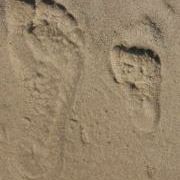 Profile Picture of Danielle Busard (@dbusard4) on Pinterest
