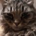 Profile Picture of Stephen Bertolini (@stephen.bertolini) on Facebook