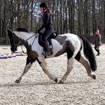 Profile Picture of Paige Parsons (@pparsons.freelance) on Instagram