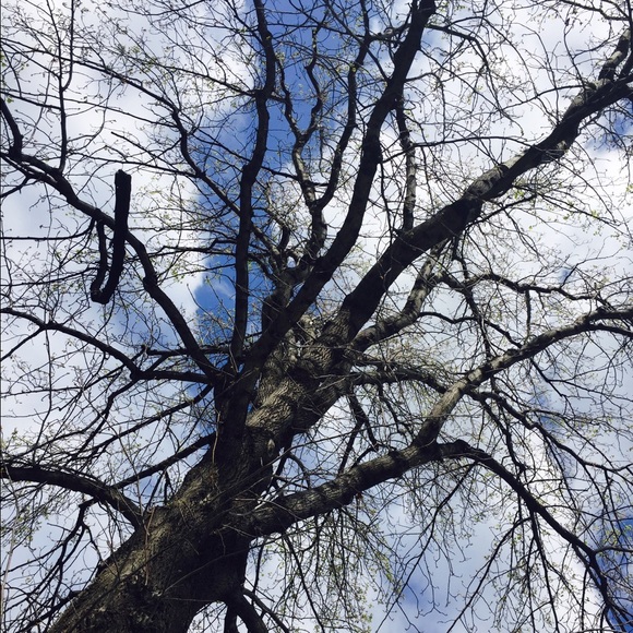 Profile Picture of Ayden Saeki (@aydensaeki) on Poshmark