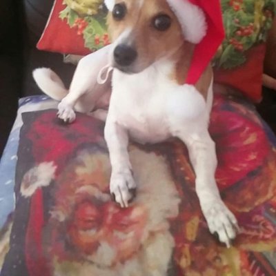 Profile Picture of Chris Grimaldi (@ChrisGrimaldi4) on Twitter