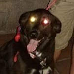 JoEllen Loeb - Instagram Profile Picture of JoEllen Loeb (@joellenloeb) on Instagram