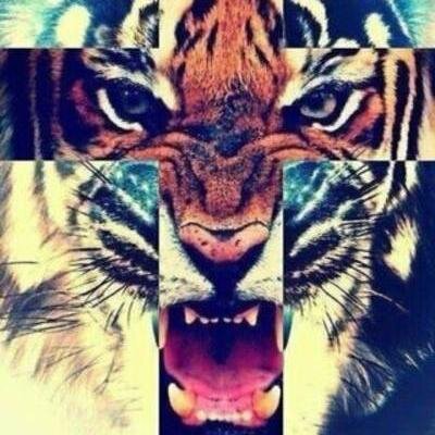 GoCandy- ✞ - Twitter Profile Picture of GoCandy- ✞ (@DomenicoColant6) on Twitter