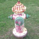 Profile Picture of daviddurrua (@daviddurrua) on Instagram