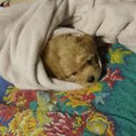 jennifer.castro7 - Instagram Profile Picture of jennifer.castro7 (@jennifer.castro7) on Instagram