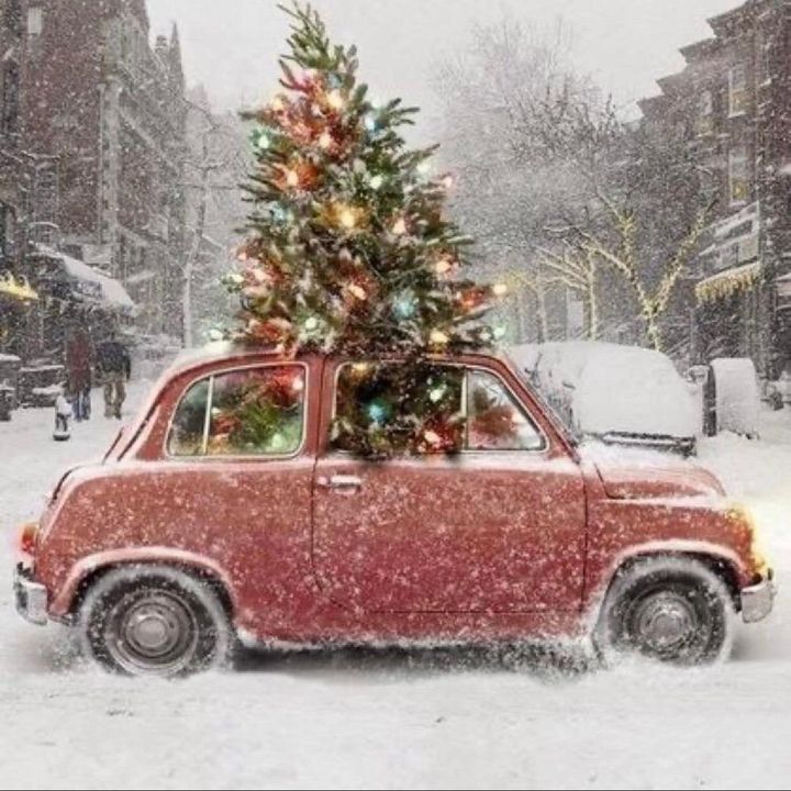 c h r i s t m a s - Tiktok Profile Picture of c h r i s t m a s (@_joy.christmas_) on Tiktok