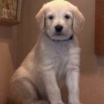 Profile Picture of David G Nilssen (@dav_priiv) on Instagram