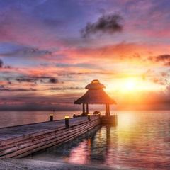 Profile Picture of Daniel Kreitz (@@shiela1005) on Tiktok