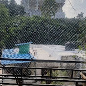 Profile Picture of Mohamad Alam (@mohamadalam2217) on Youtube