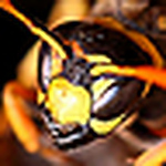 Profile Picture of J%u03A9nathan Segers (@J%u03A9nathan Segers) on Flickr