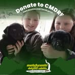 Profile Picture of Letha J Gibson (@Letha-J-Gibson) on Facebook