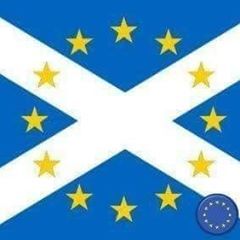 Profile Picture of bert.visscher (@scotlandeu) on Tiktok