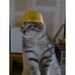 Profile Picture of Charles Montoya (@childofmyth) on Pinterest