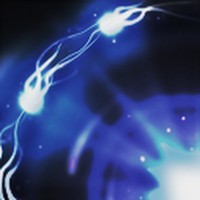 Profile Picture of Amy Keo (@amy-keo-1) on Quora