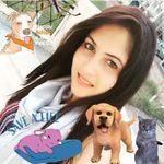 Profile Picture of Het Leos (@het_115) on Instagram