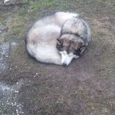 Profile Picture of Willi Pamperl (@pamperl_willi) on Twitter