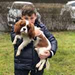 Profile Picture of David Shukhman (@david_shukhman) on Instagram