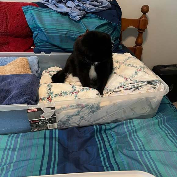 Profile Picture of Mary Davichick (@marydavichick) on Poshmark