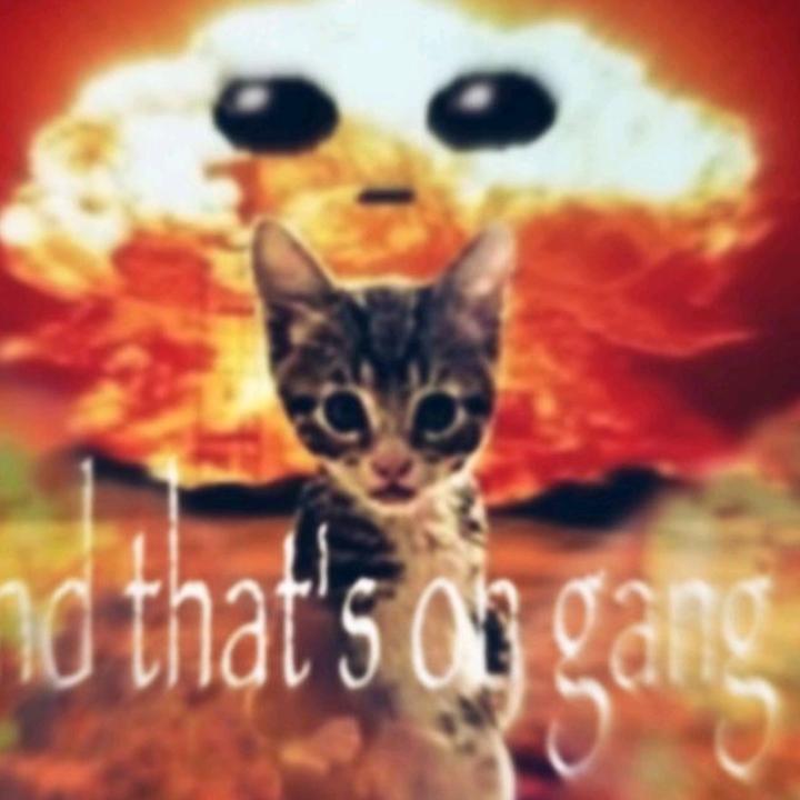 Profile Picture of allison (@ktx.yapperson) on Tiktok