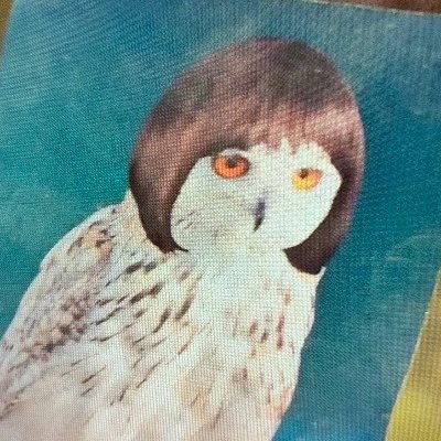Profile Picture of Todd Levin (@toddlevin) on Twitter