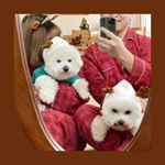 강아지옷쇼핑몰 바이담수미 - Instagram Profile Picture of 강아지옷쇼핑몰 바이담수미 (@bydamsoomi) on Instagram