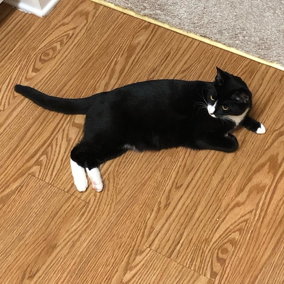 Profile Picture of Christopher Stanley (@behnu) on Poshmark