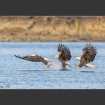 Profile Picture of Anping Liu (@anping.liu.940) on Facebook