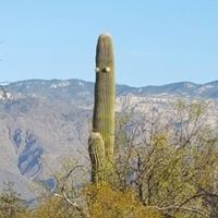 Profile Picture of Kate Zheng (@kate-zheng-10) on Quora