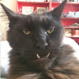 Profile Picture of Chris Crowther (@Thorn2011) on Twitter