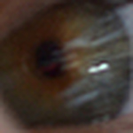 Profile Picture of Kyle Martin (@sha-ne-ne) on Flickr