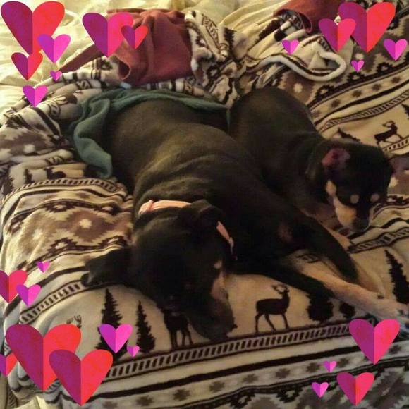 Profile Picture of Chris Evensen (@chris_gbp_fan) on Poshmark