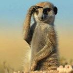 Profile Picture of Steve Heavirland (@steveheavirland) on Instagram