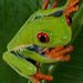 Profile Picture of Giovanny Bernabe-Montoya (@gbernabemontoya) on Pinterest