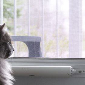 Alexandrea Tarrant - Pinterest Profile Picture of Alexandrea Tarrant (@Tarrant1992) on Pinterest