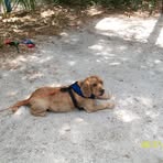 Profile Picture of James Terpenning (@james.terpennimg) on Facebook