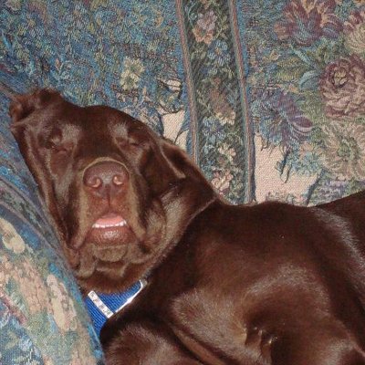 Profile Picture of Nick Selle (@Rxnick330) on Twitter