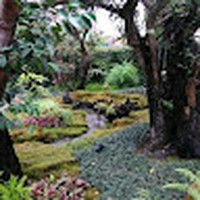 Profile Picture of Tangkwa Tosukhowong (@tangkwa-tosukhowong) on Quora