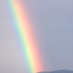 Profile Picture of Lynette Phillips (@lyn__phillips) on Instagram