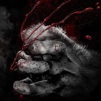 Mohammed Belkaid - Quora Profile Picture of Mohammed Belkaid (@mohammed-belkaid) on Quora