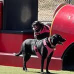 Profile Picture of Janice Tutone (@janice.tutone) on Facebook