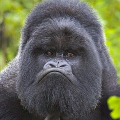 Profile Picture of Colin Rainey (@colinrainey68) on Twitter
