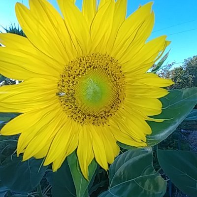 Profile Picture of TamaraTanner (@TamaraTanner17) on Twitter