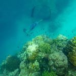 Paul Mosqueda - Instagram Profile Picture of Paul Mosqueda (@epoyyy) on Instagram