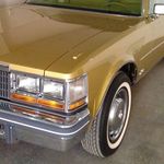 Nima.abbasi - Instagram Profile Picture of Nima.abbasi (@nima.abbasi77) on Instagram