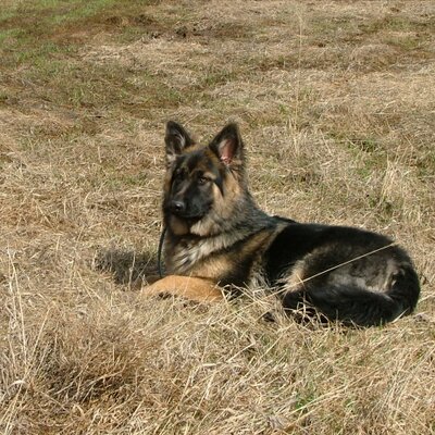 Profile Picture of Brian Thostenson (@briant96886197) on Twitter