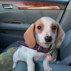 Profile Picture of James Czerwinski (@james.czerwinski) on Tiktok