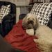Profile Picture of Ralph Hoppe (@hopperalph) on Pinterest