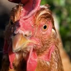 Profile Picture of Kipling Ernest (@Kipling-Ernest) on Facebook