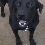 Profile Picture of cedrics sturdivant (@cedricsstu) on Instagram